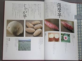 味匠 あじのたくみ伝承1000年の料 理題字北大路魯山人料理本20冊セット講談社 味匠 あじのたくみ伝承1000年の料 理題字北大路魯山人料理本